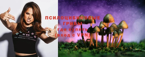 mdpv Баксан