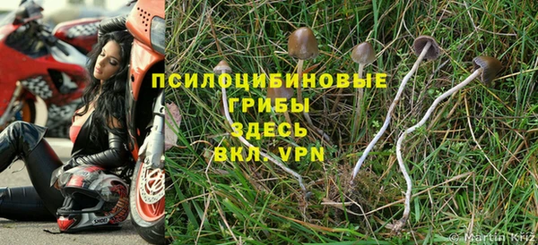 а пвп мука Балахна