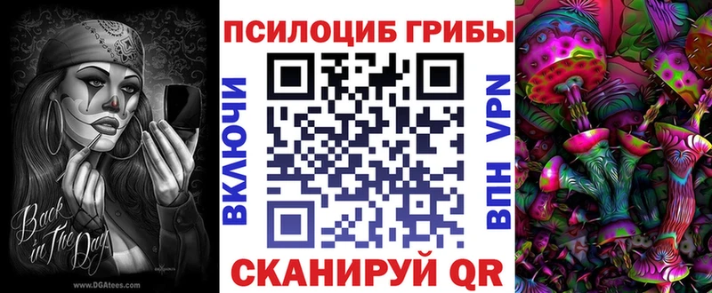 Псилоцибиновые грибы Psilocybe Хасавюрт
